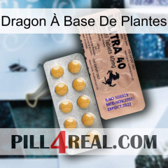 Dragon À Base De Plantes 41